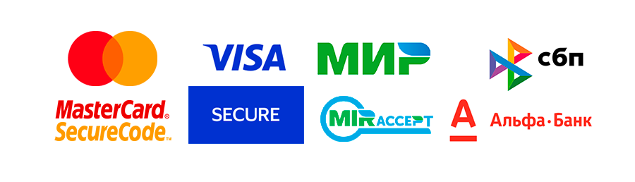 Способы оплаты VISA MasterCard МИР СБП